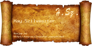 Hay Szilveszter névjegykártya