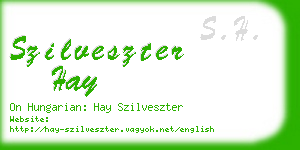 szilveszter hay business card